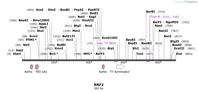 31348_map