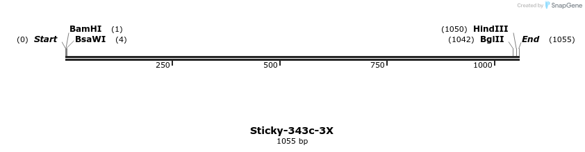 313518_map