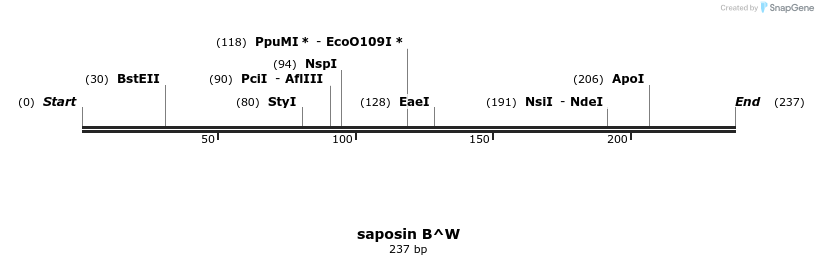 313548_map