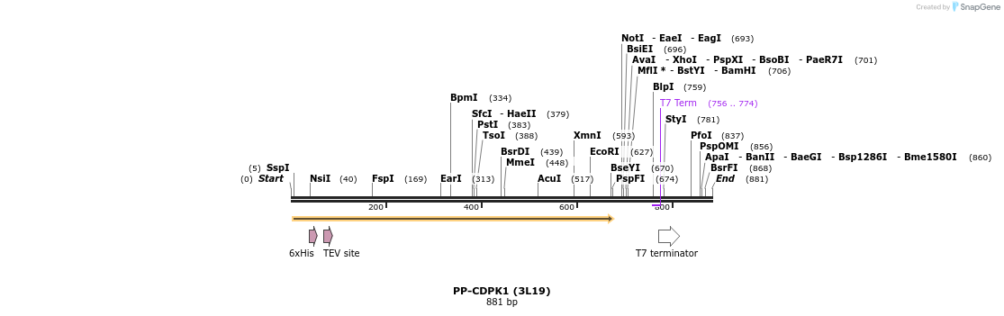 31360_map