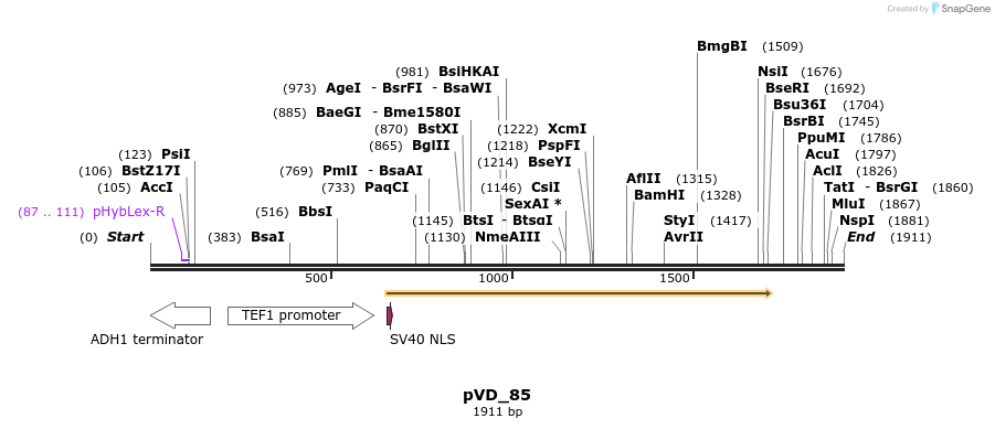 313613_map