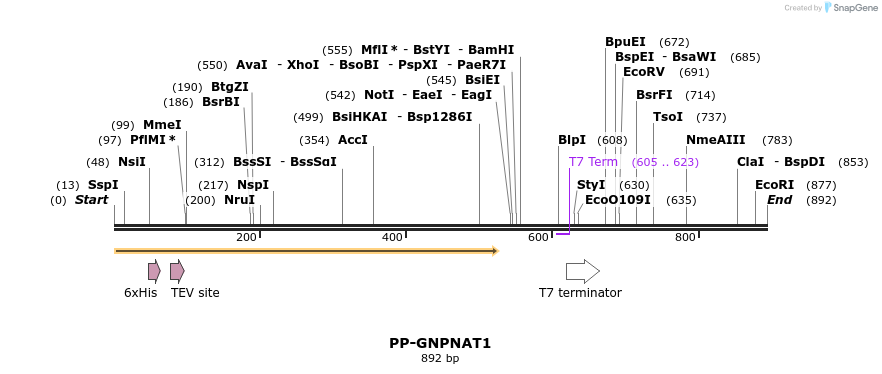 31362_map