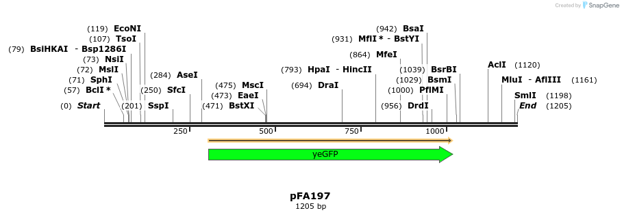 313622_map