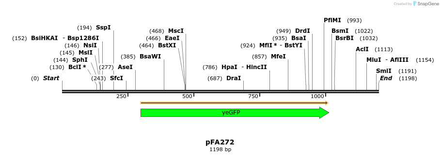 313632_map
