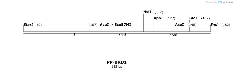 31364_map