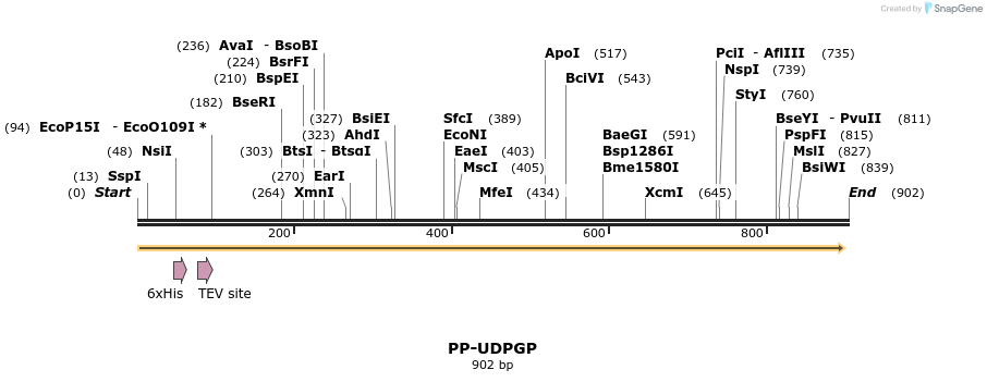 31367_map