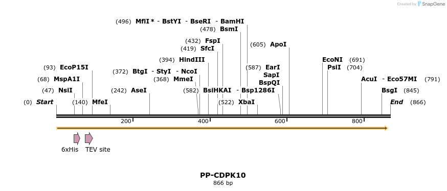 31368_map
