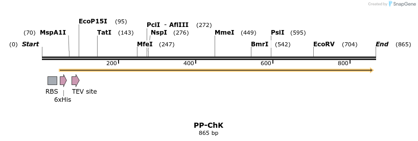 31369_map