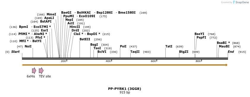 31370_map