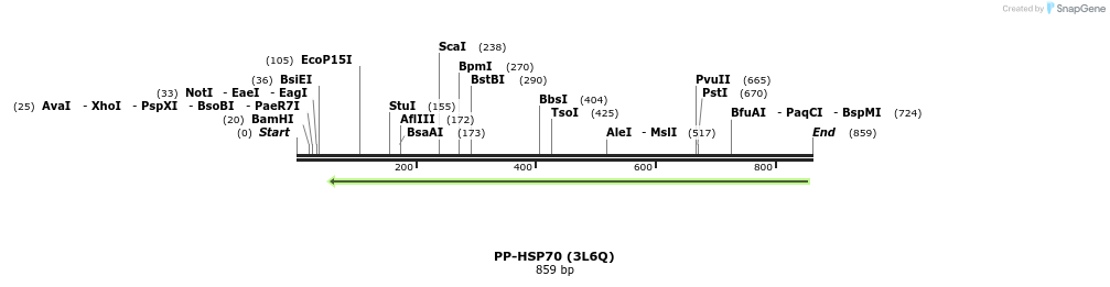 31371_map