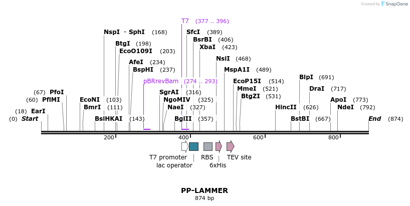 31375_map