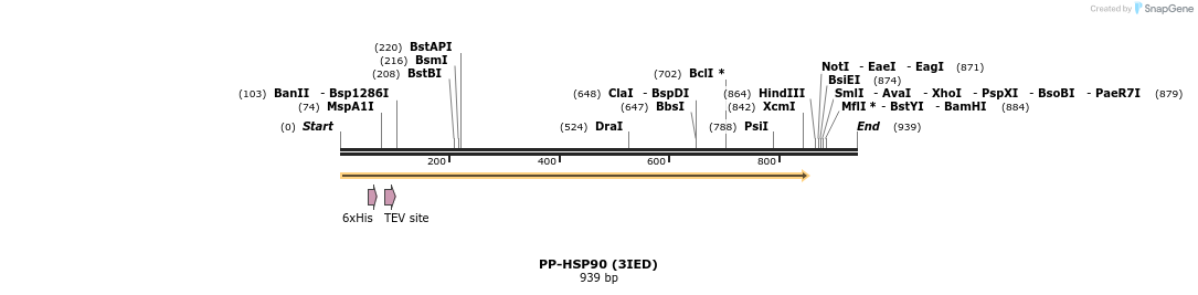31376_map