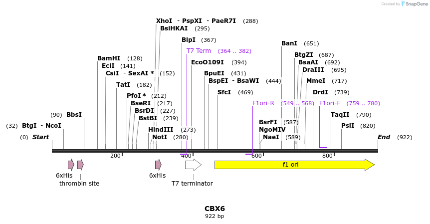 31379_map