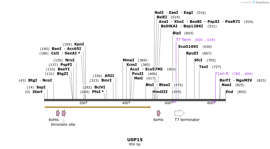 31384_map