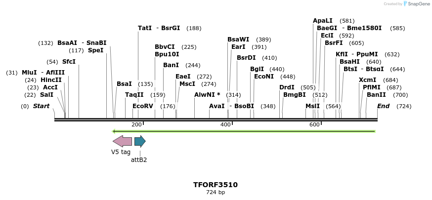 313851_map