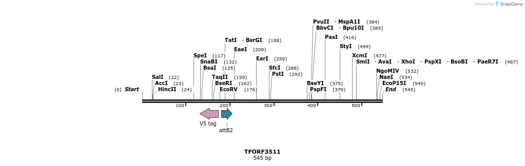 313854_map