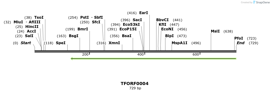 313857_map