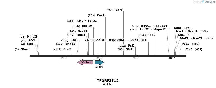313858_map