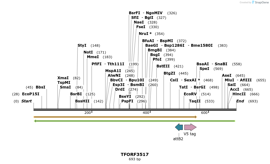 313859_map