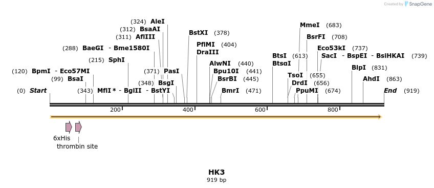 31386_map