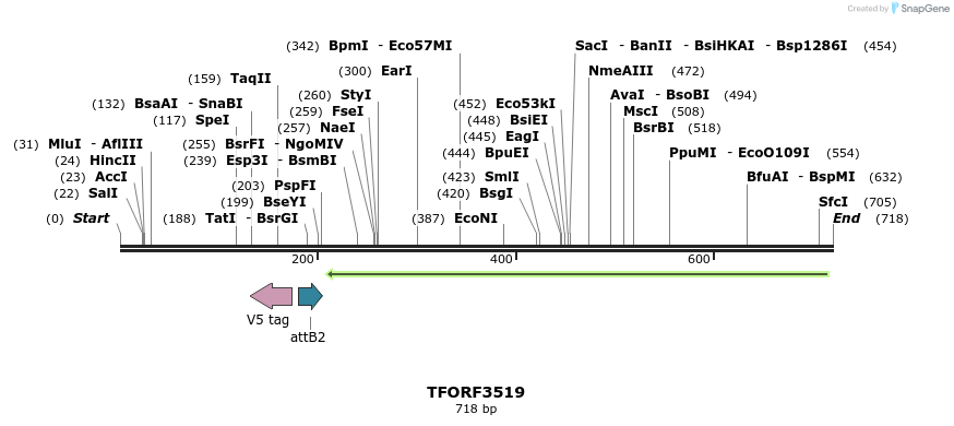 313860_map