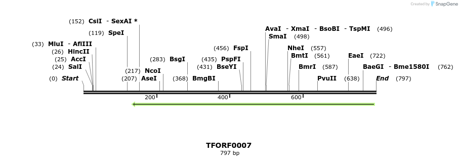 313861_map