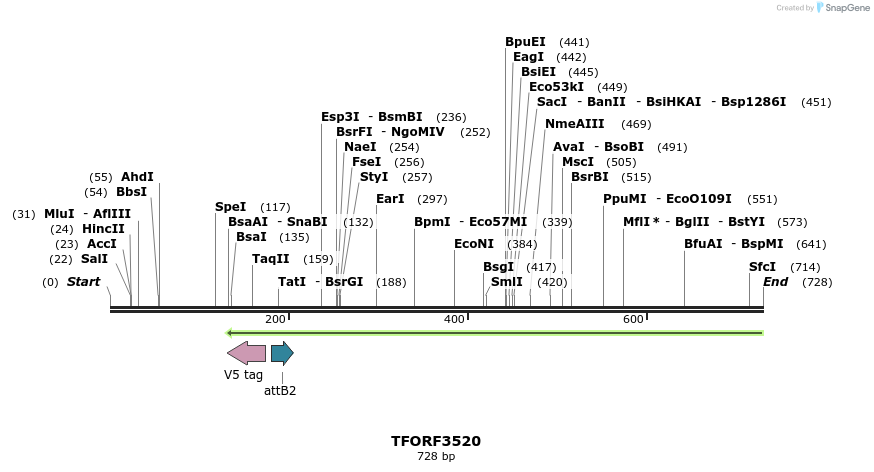 313862_map