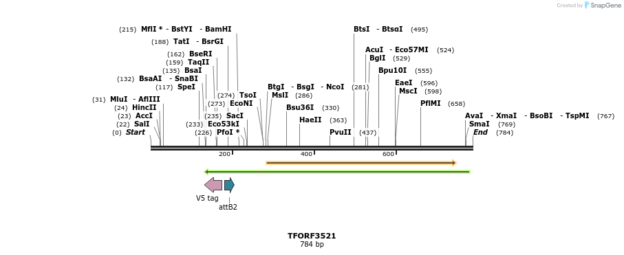 313864_map
