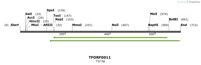 313865_map