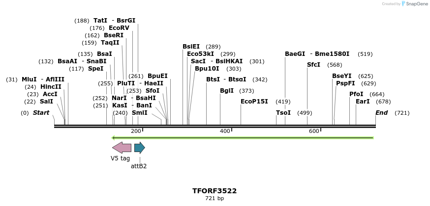 313867_map