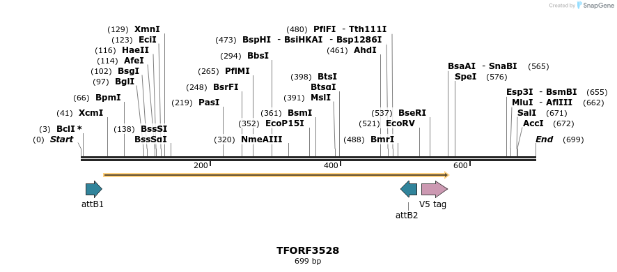 313868_map