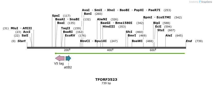 313869_map