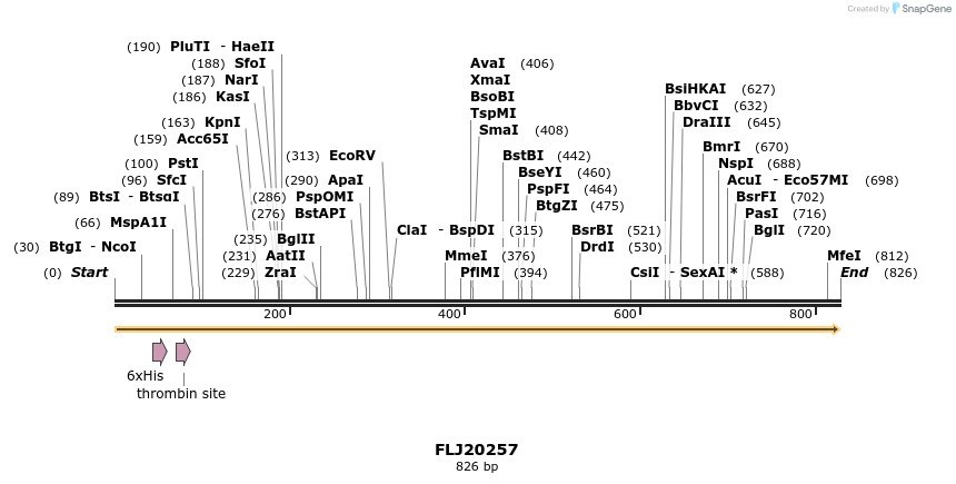 31387_map