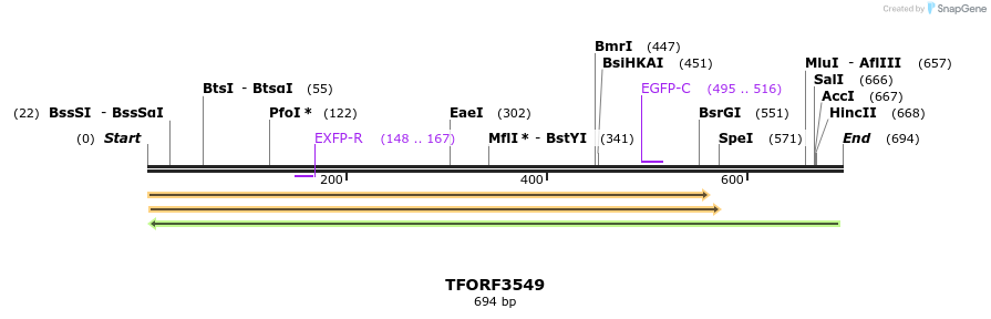 313870_map