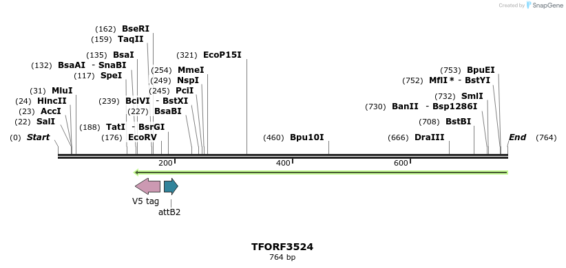 313871_map