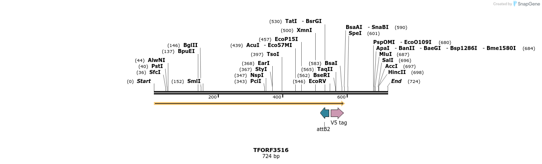 313872_map