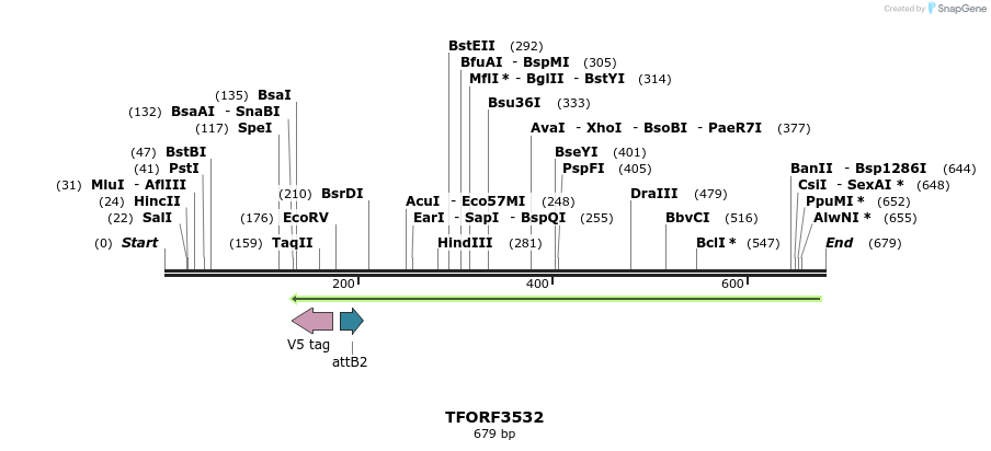 313875_map