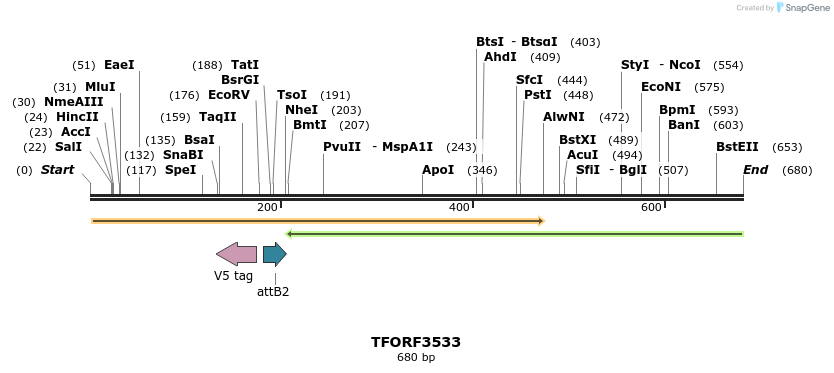 313878_map