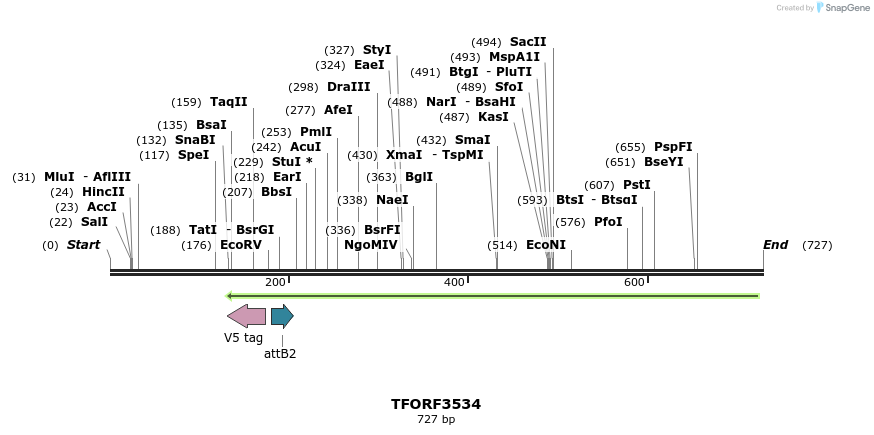 313882_map