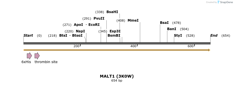 31389_map