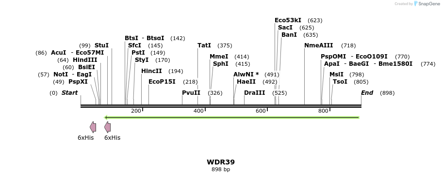31390_map