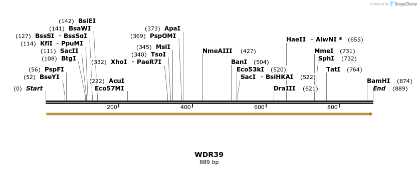 31391_map