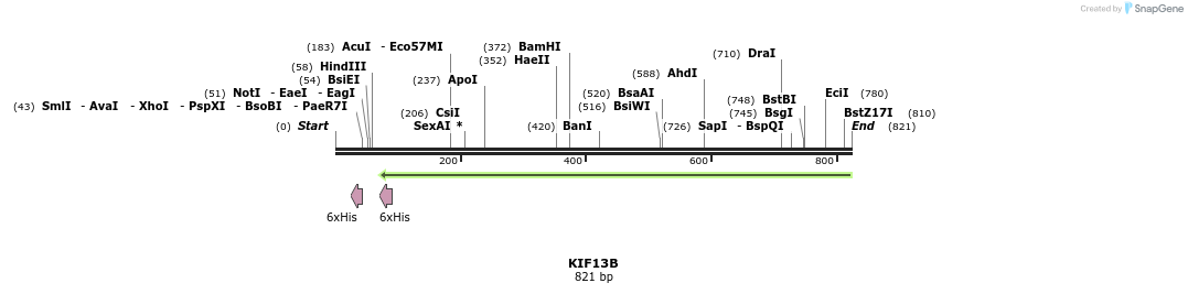 31392_map