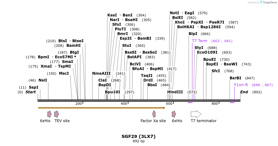 31397_map