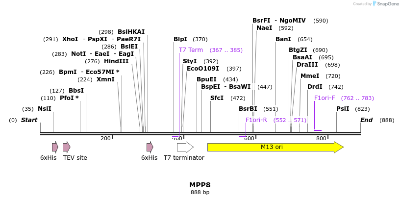 31399_map