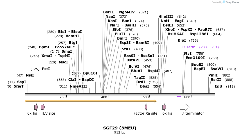 31400_map