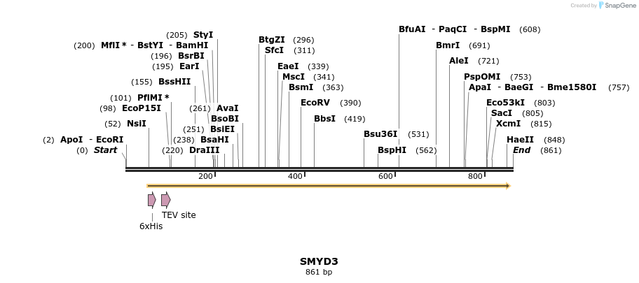 31401_map