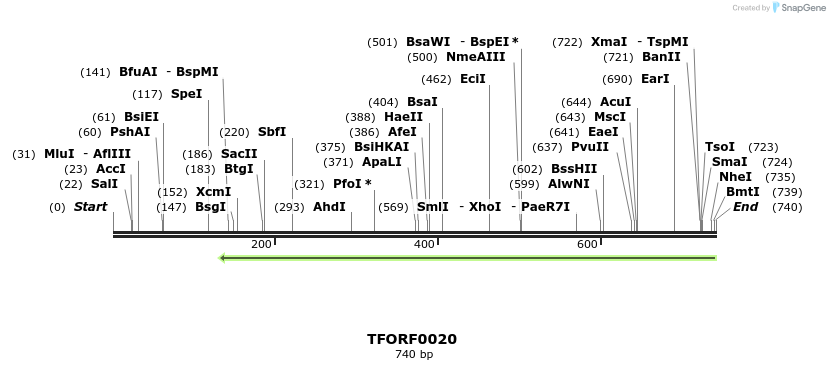 314025_map