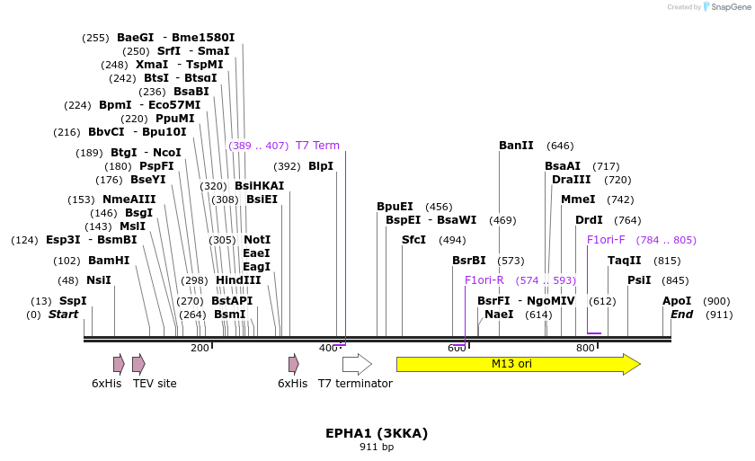 31406_map
