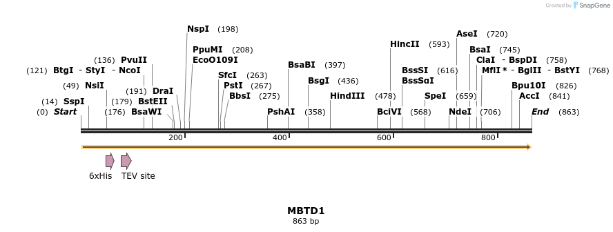 31412_map